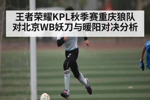 王者荣耀KPL秋季赛重庆狼队对北京WB妖刀与暖阳对决分析